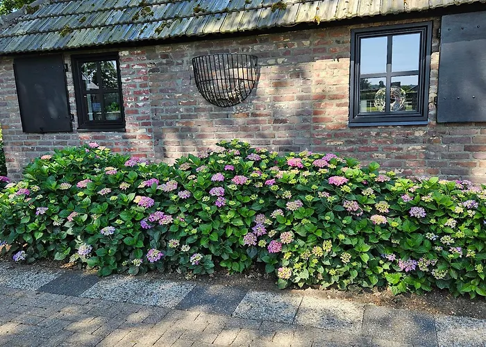 Huisje Schouwenberg
