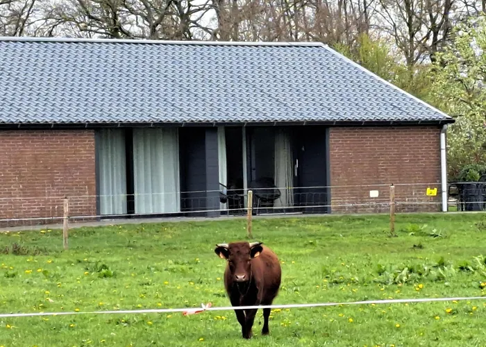 Gastenverblijf Dalem Met Of Zonder Hottub En Landelijk